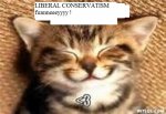 catmemes02.jpg