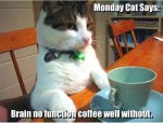 63164-Monday-Cat.jpg
