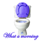 what-a-morning-toilet-ag1.gif