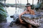 crocodile hunter.jpg