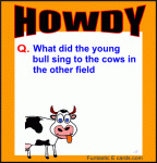 funny-cartoon-cow-joke-love-song.gif