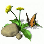 animated dandilion big butterfly.gif