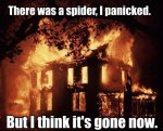 Spider-is-gone.jpg