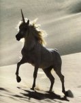 unicorn-desert.jpg unicorn-desert.jpg