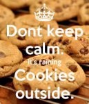 raining cookies.jpg