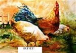 Lucy's Rooster.jpg