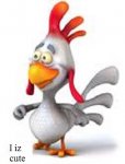 chicken02.jpg