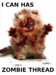 zombie kitten thread.jpg