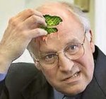 cheneyreptile.jpg cheneyreptile.jpg