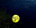Good-Night-Graphics-40.jpg Good-Night-Graphics-40.jpg