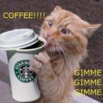 Gimme Coffee.jpg