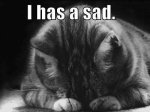 sad-cat.jpg