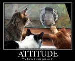 Attitude (2).jpg
