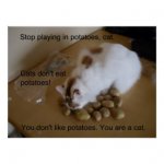 cats_don_t_like_potatoes_poster-r85178f4b48cb4ea7b55ba9de2a6fb56d_f00u_8byvr_324.jpg