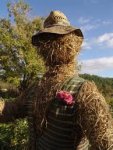 strawman.jpg strawman.jpg