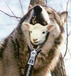 sheep-in-wolf-jacket.jpg