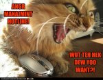 Anger Management.jpg Anger Management.jpg