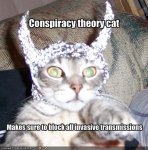 tinfoil.jpg