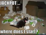 8d72c_funny-pictures-cat-has-lots-of-toilet-paper.jpg