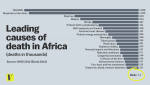 Africa_death_causes_revised.0.png
