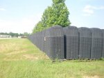 coffins.jpg