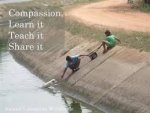 compassion.jpg