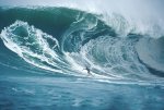 HUGE Wave.jpg
