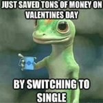 single.jpg