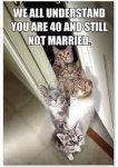 imagesCAT0ZZAS.jpg