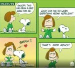 snoopy.jpg