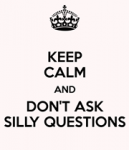 keep-calm-and-don-t-ask-silly-questions.png