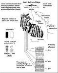 Juan de Fuca MagStripes_1.jpg