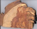 kipuka fire scar_1.jpg