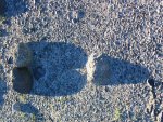 IMG_0041.jpg IMG_0041.jpg