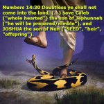 numbers 14 30.jpg numbers 14 30.jpg