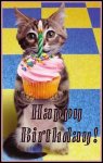 Birthday-Cat.jpg