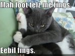 funny-pictures-cat-is-being-told-evil-things-by-his-foot.jpg