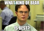 ds bear question.jpg