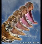 Tiger_Morph_III_by_Aizxana.jpg