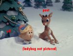 rud_snowbank.jpg