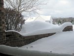 IMG_0564.JPG IMG_0564.JPG