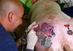 pig-tattoos-03.jpg