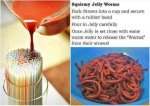 jelly worms.jpg