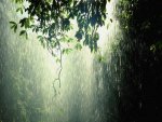 rain.jpg