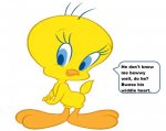 Tweety bird cartoon character.jpg
