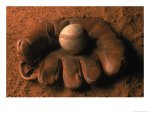 mitt.jpg