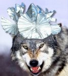 tinfoil.jpg