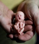 fetus-model.jpg fetus-model.jpg