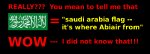 SaudiFlagSarcasm.jpg