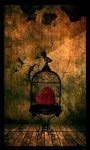heart in a cage.jpg
